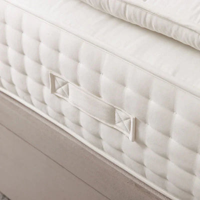 Escape Cotton Pillow Top Mattress